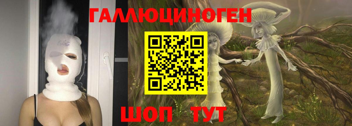 Новочеркасск  закладки  Вход с VPN  Галлюциногенные грибы прущие грибы 